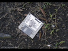 Cartoon: Diskette Word6 (small) by Wilmarx tagged diskette,word6