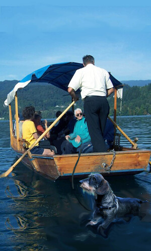 Cartoon: no text (medium) by Miro tagged no,text