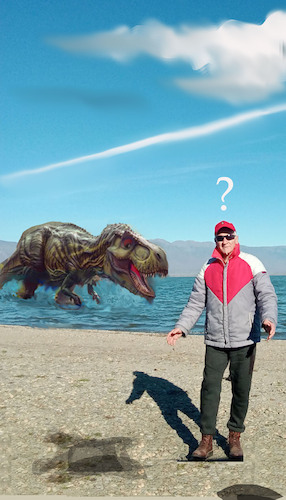 Cartoon: no text (medium) by Miro tagged no,text