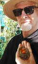 Cartoon: no text (small) by Miro tagged no,text
