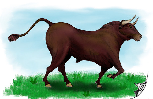 Cartoon: El Torro (medium) by swenson tagged stier,bull,torro,buffelo,spanien,spain,animal,animals,tier