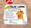 Cartoon: Dalai Lama in Frankfurt a.M. (small) by swenson tagged dalai lama