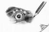 Cartoon: Eye of Speedy (small) by swenson tagged eye auge speed bartagame animals