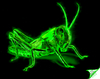 Cartoon: Heuschrecke (small) by swenson tagged animal tier radioaktiv glow green leuchten