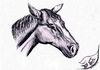 Cartoon: Pferd 2012 (small) by swenson tagged pferd horse animal tier 2012