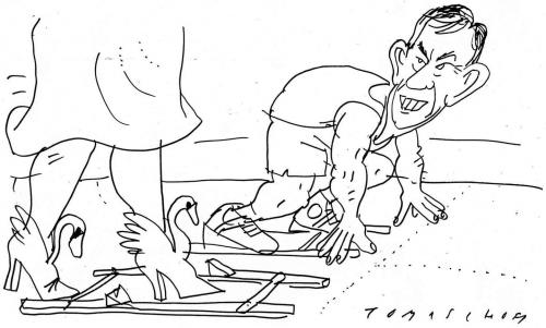 Cartoon: Schwan vs. Köhler (medium) by Jan Tomaschoff tagged bundespräsidentin