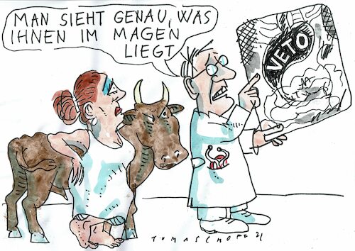 Cartoon: Veto (medium) by Jan Tomaschoff tagged eu,veto,eu,veto