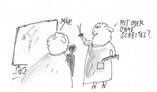Cartoon: Beim Frisör (medium) by nele andresen tagged frisör,schafscheren,schaf