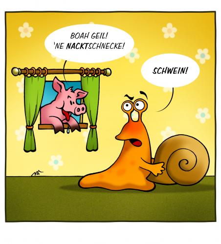 Cartoon: Nacktschnecke (medium) by volkertoons tagged volkertoons,cartoon,schwein,schnecke,nackt,nacktschnecke,voyeur,kalauer,schnecken,schnecke,kriechtier,weichtier,tiere,spanner,stalker,geil,geilheit,lust,macho,anmache,flirten,voyeur,kalauer,nacktschnecke,nackt,schwein,sau,spannern,ausziehen,umziehen,anatomie,biologie,körper