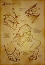 Cartoon: Schreckpanzer - Sketches (small) by volkertoons tagged volkertoons,volker,dornemann,illustration,concept,art,fantasy,games,rpg,creature,kreatur,beast,biest,bestie,animal,tier,enemy,gegner,feind,monster