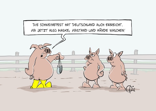 20250615-Schweinepest 20250615-Schweinepest