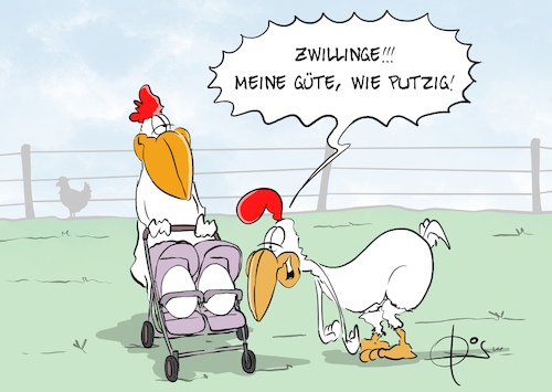 20251013-HuehnerZwillinge 20251013-HuehnerZwillinge