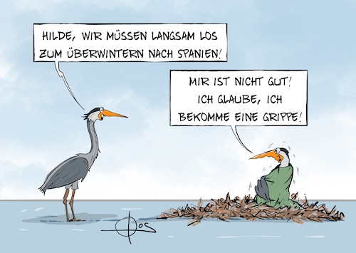 Cartoon: 20251028-KrannichGrippe (medium) by Marcus Gottfried tagged grippe,vogelgrippe,krannich,überwintern,reise,erkältung,grippe,vogelgrippe,krannich,überwintern,reise,erkältung