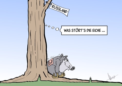 Cartoon: die Eiche (medium) by Marcus Gottfried tagged eiche,wildschwein,spruch,stören,kratzen,g7,russland,europa,besprechung,gipfel,marcus,gottfried,cartoon,karikatur,krim,sanktionen,strafe,eiche,wildschwein,spruch,stören,kratzen,g7,russland,europa,besprechung,gipfel,marcus,gottfried,cartoon,karikatur,krim,sanktionen,strafe