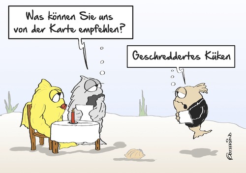 Cartoon: Geschreddert (medium) by Marcus Gottfried tagged küken,hühnchen,weibchen,männchen,zucht,eier,hühnerhof,fortpflanzung,ernährung,mord,tierschutz,fisch,fischfutter,verarbeiten,industrie,gericht,urteil,spaß,freude,marcus,gottfried,cartoon,karikatur,küken,hühnchen,weibchen,männchen,zucht,eier,hühnerhof,fortpflanzung,ernährung,mord,tierschutz,fisch,fischfutter,verarbeiten,industrie,gericht,urteil,spaß,freude,marcus,gottfried,cartoon,karikatur