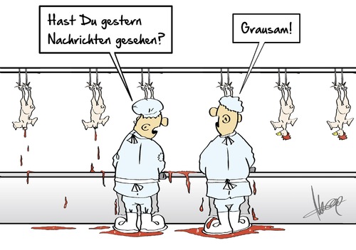 Cartoon: grausame Nachrichten (medium) by Marcus Gottfried tagged isis,is,köpfung,journalist,entwicklungshelfer,irak,syrien,glaubenskrieg,europa,usa,nachrichten,warnung,metzgerei,hähnchen,kopf,ab,schlachtung,schlachten,blut,vergleich,marcus,gottfried,cartoon,karikatur,isis,is,köpfung,journalist,entwicklungshelfer,irak,syrien,glaubenskrieg,europa,usa,nachrichten,warnung,metzgerei,hähnchen,kopf,ab,schlachtung,schlachten,blut,vergleich,marcus,gottfried,cartoon,karikatur