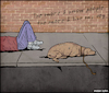 Cartoon: The more I know people... (small) by matan_kohn tagged dog,dogs,animals,quotes,animal,street,grsffiti,streetart,art,drawing,digitalart,illustration,dogsofinstagram,love,funny,meme,cute,cool,pic,mobile,homeless,bagger,awesome,sleeping,joack,sketch,believe,doglover