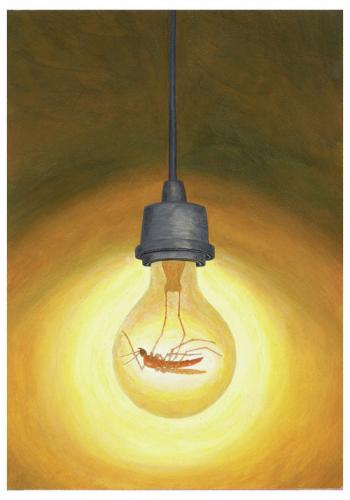 Cartoon: Mosquito Light (medium) by Davor tagged insect,lamp,bulb,licht,glühbirne