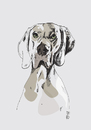 Cartoon: dog (small) by Achatz tagged vektor,zeichnung