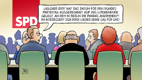 Cartoon: SPD und Pandas (medium) by Harm Bengen tagged datum,bundesparteitag,wochenende,berlin,pandas,zoo,medieninteresse,spd,harm,bengen,cartoon,karikatur,datum,bundesparteitag,wochenende,berlin,pandas,zoo,medieninteresse,spd,harm,bengen,cartoon,karikatur