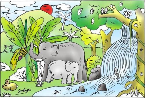Cartoon: elephant thai jungle (medium) by sontaya tagged elephant,thai,jungle