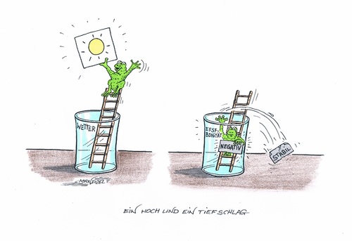 Cartoon: EFSF Bonität heruntergestuft (medium) by mandzel tagged wetterfrosch,sonne,oben,auf,der,leiter,ratingfrosch,unten,im,glas,efsf,bonität,heruntergestuft