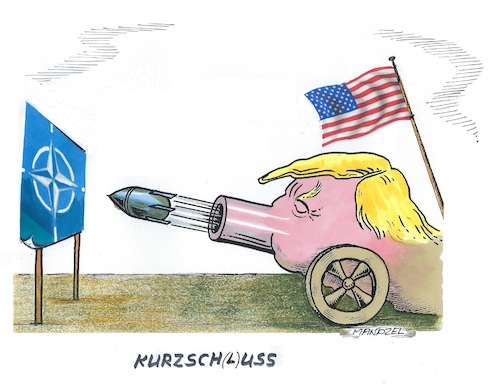Cartoon: Trumps Wumms (medium) by mandzel tagged trump,usa,nato,europa,trump,usa,nato,europa