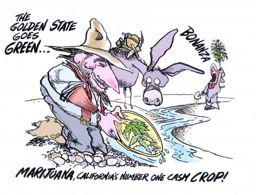 Cartoon: CALIFORNIA (medium) by barbeefish tagged marijuana