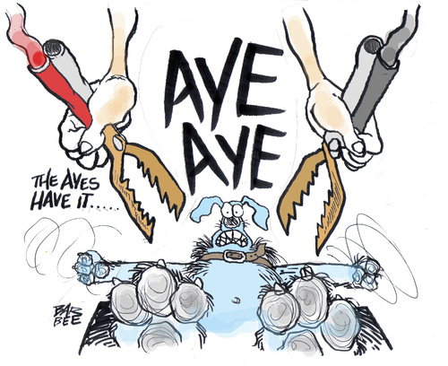 Cartoon: GETTIN THE VOTE (medium) by barbeefish tagged housevote