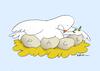 PASQUA 2025