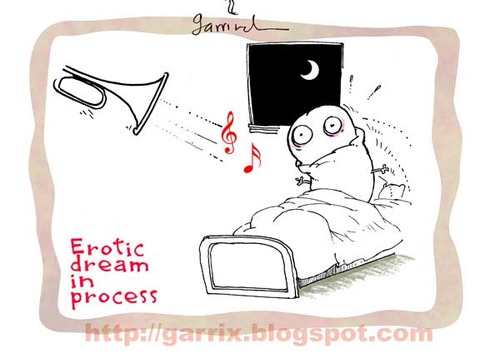 Cartoon: Erotic dream (medium) by Garrincha tagged 