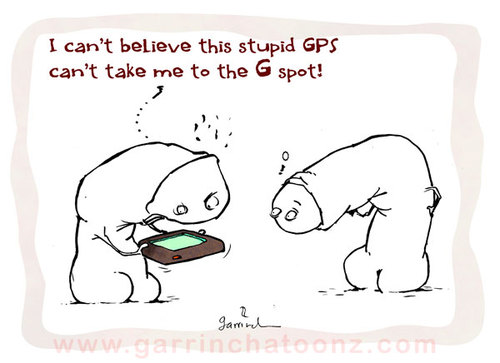 Cartoon: Stupid GPS (medium) by Garrincha tagged technology