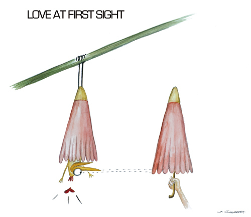 Cartoon: LOVE AT FIRST SIGHT (medium) by LA RAZZIA tagged love,at,first,sight,bird,falling,in,liebe
