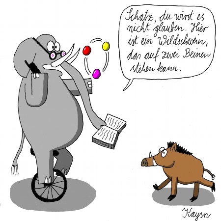 Cartoon: Elefant vs. Wildschwein (medium) by KAYSN tagged elefant,wildschwein