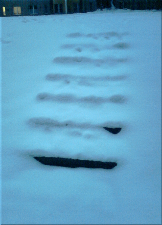 Cartoon: Treppe im Schnee (medium) by lesemaus tagged märz,schnee