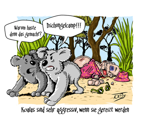 Cartoon: Wissenswertes 2 (medium) by Toeby tagged australien,outback,koala,dschungelcamp,toeby,mark,töbermann