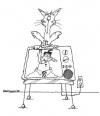 Cartoon: Program Interruption (small) by dbaldinger tagged cat,television,animals,pets,