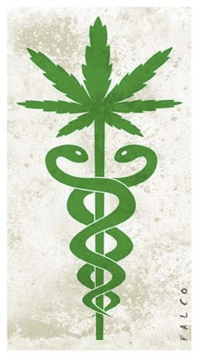 Cartoon: marihuanamedicine (medium) by alexfalcocartoons tagged marihuanamedicine