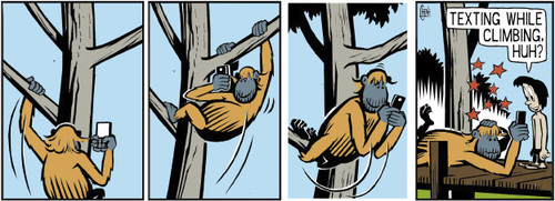 Cartoon: Orangutan texting (medium) by sinann tagged orangutan,texting,accident,climbing