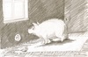 Cartoon: Hausschwein (small) by gothiel tagged wall,socket,pig,steckdose,schwein,wand,haustier,hausschwein,tierquälerei,strom