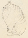 Cartoon: Fat Cat 02 (small) by vokoban tagged pen,and,ink,doodle,drawing,scribble,pencil