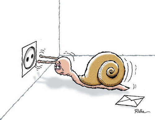 Cartoon: Suicide of a snail (medium) by Ridha Ridha tagged suicide,of,snail,ridha,black,humor,cartoon