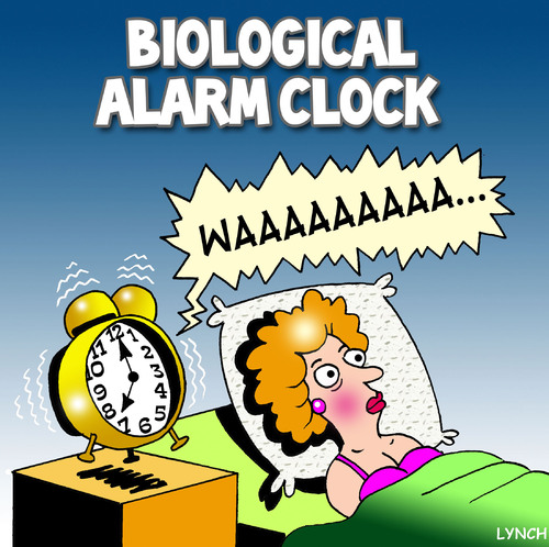 Cartoon: alarm clock (medium) by toons tagged pregnant,biological,alarm,clock,babies,children,clocks