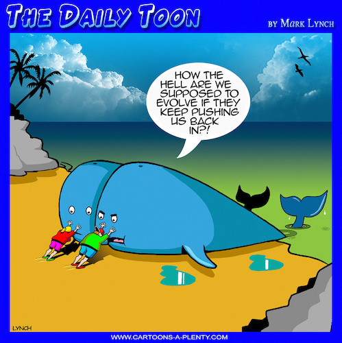 Cartoon: Beached whales (medium) by toons tagged whales,beaching,evolving,evolution,whales,beaching,evolving,evolution