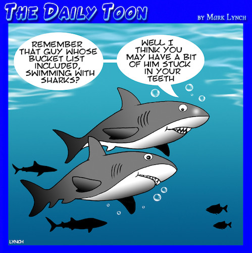 Cartoon: Bucket list (medium) by toons tagged sharks,swimming,with,bucket,list,stuck,in,your,teeth,sharks,swimming,with,bucket,list,stuck,in,your,teeth