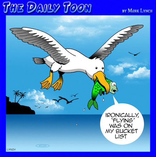 Cartoon: Bucket list (medium) by toons tagged seagulls,bucket,list,flying,fish,seagulls,bucket,list,flying,fish