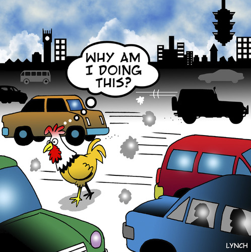 Cartoon: chicken crosses the road (medium) by toons tagged why,did,the,chicken,cross,road,gags,chooks,hens,farm,animals,questions,of,life