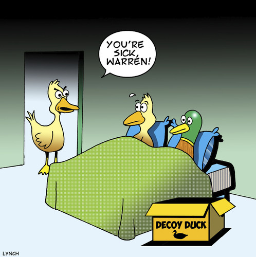 Decoy duck