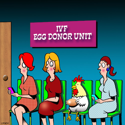 Cartoon: Egg donor (medium) by toons tagged ivf,egg,donors,pregnancy,babies,chickens,eggs,assisted,chooks,farmyard,ivf,egg,donors,pregnancy,babies,chickens,eggs,assisted,chooks,farmyard