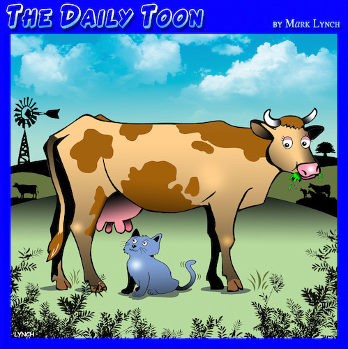 Cartoon: Farm cat (medium) by toons tagged cats,cows,milk,farming,cats,cows,milk,farming